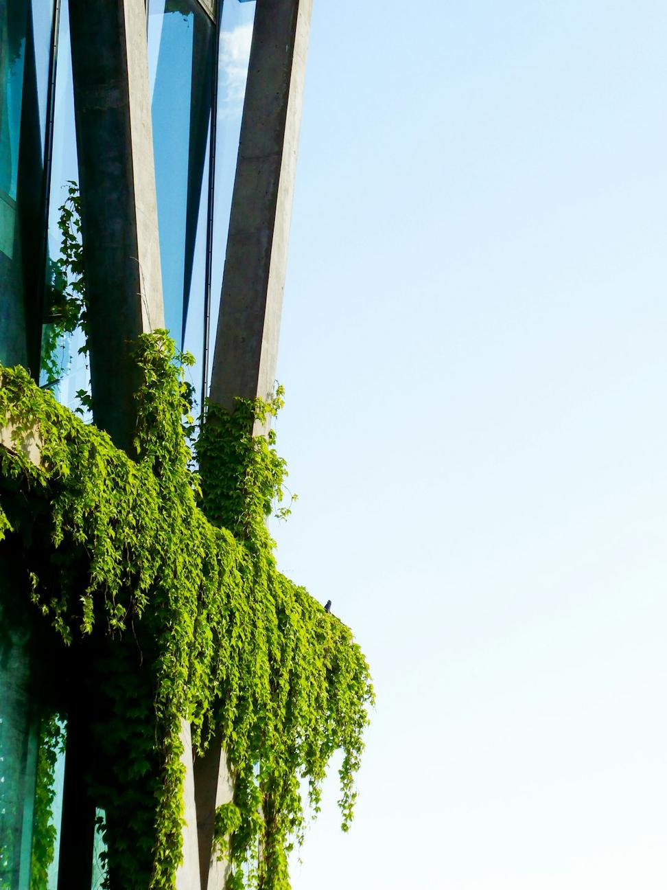 Green building certifications